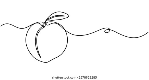 Peach fruit in continuous line art drawing style. Simple black sketch made of one line isolated on white background, Apricot vector illustration. One line drawing art illustration.