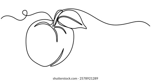 Peach fruit in continuous line art drawing style. Simple black sketch made of one line isolated on white background, Apricot vector illustration. One line drawing art illustration.