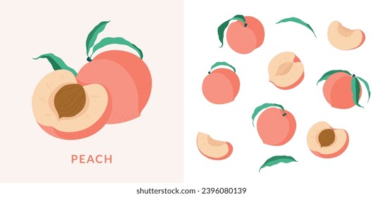 Peach Fruit design elements set, minimalistic illustration. Botanical elements for design.