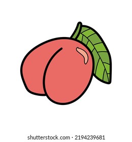 Peach Fruit doodle hand drawn vector illustration isolated on white background. Colorful bright outline cartoon style peach fruit with leaf, sweet tasty fruit, organic food full of vitamins.