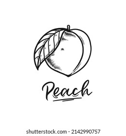 peach fruit doodle set hand drawn illustration