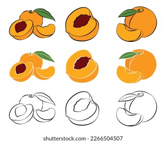 ilustración de icono plano de fruto de cáscara