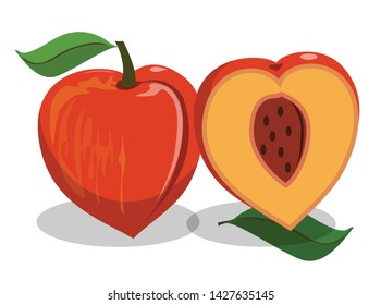 peach fruit flat icon on white background