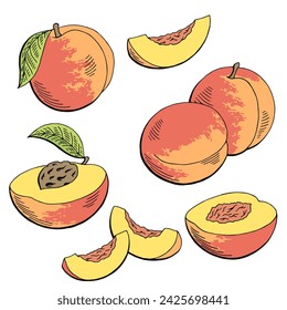 Peach fruit graphic color isolated sketch illustration vector 