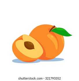 Peach fruit with half sliced vector