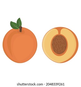 Fruto de melocotón y medio melocotón con una ilustración vectorial aislada de piedra y color
