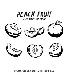 Peach fruit hand drawn concept on white background