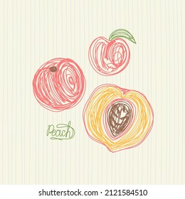 Peach fruit. Hand drawn vector illustration. Pen or marker doodle sketch.