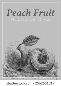 Peach fruit hand sketch artwork drawing vector