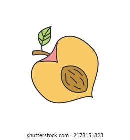 Peach fruit icon in color, isolated on white background 