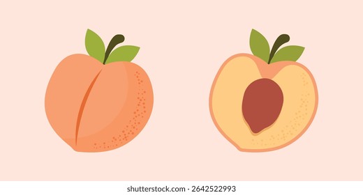 Peach fruit icon in flat style. Apricot vector illustration on isolated background. Nectarine nature snack sign business concept.