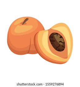 peach fruit icon over white background, vector illustration