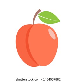 peach - fruit icon vector design template