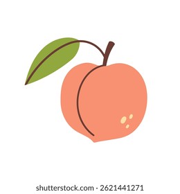 Peach Fruit illustration. Peach icon. Organic vitamins and healthy nutrition. Isolated Peach with green leaf. Flat design, doodle style. Graphic print for t-shirt. Vector