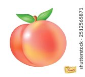 Peach fruit isolated on a white background, realistic element. Vector peachy  juicy art