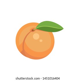 peach fruit isolated on white background. Vector illustration. Eps 10.