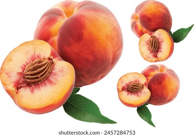 Peach fruit isolated on white background