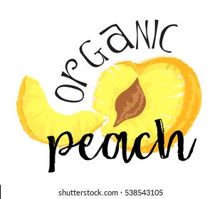 Peach fruit label and sticker - Organic Peach. Vector illustration in watercolor style, for graphic and web design