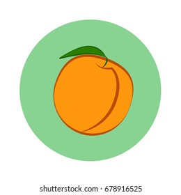 Peach fruit with leaf in green circle on a white background. Vector