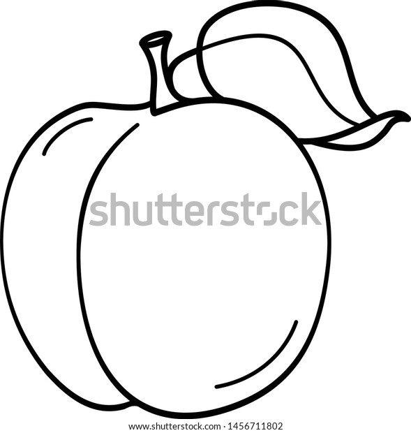 Peach Fruit Leaf Icon Outline Style Stock Vector (Royalty Free) 1456711802