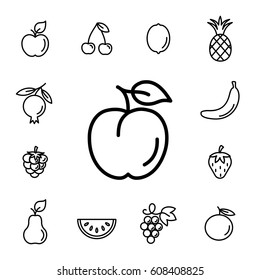 peach fruit with leaf line icons set black on white