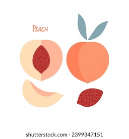 Peach Fruit con hojas, boceto de doodle dibujado a mano aislado. Planilla plana de alimentación para menú, diseño de vivero, pegatina, logotipo, concepto de dieta de desintoxicación, mercado de agricultores. Fruta entera y mitad de corte, semilla, rodaja.