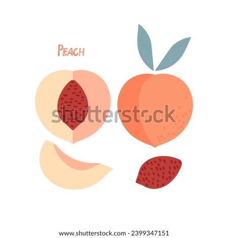 Peach Fruit with leaves, hand drawn doodle sketch isolated. Flat vector Food template for menu, nursery design, sticker, logo, detox diet concept, farmer market. Whole fruit and cut half, seed, slice.