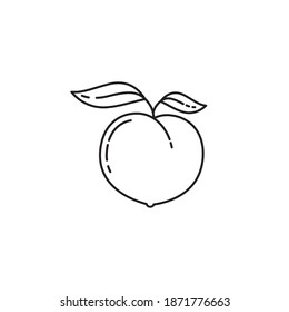 Peach fruit with leaves vector line icon for Eat A Peach Day on August 22. Healthy fruit outline symbol.