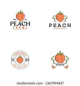 Peach fruit logo template vector. Fresh fruit logo concept. Vintage logo vector