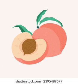 Peach Fruit, minimalistic illustration. Botanical elements for design.