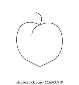 Peach fruit or nectarine with leaf line art vector icon line draw