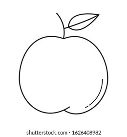 Peach fruit or nectarine with leaf line art vector icon line draw
