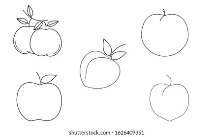 Peach fruit or nectarine with leaf line art vector icon  line draw
