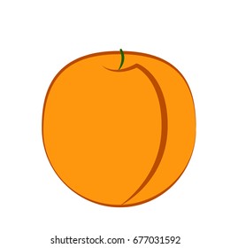 Peach fruit on a white background. Vector