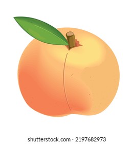 peach fruit realistic isolated icon