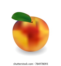 Peach fruit realistic vector.