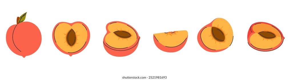 Fruta de pêssego, inteira, metade, fatia, quarto, segmento. Coleção de frutos de pêssego no estilo doodle desenhado à mão
