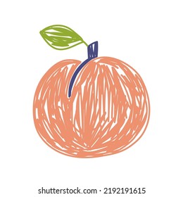 Esbozo de fruta de la galleta. Ilustración del vector de color. Dibujo de doodle con lápiz o marcador