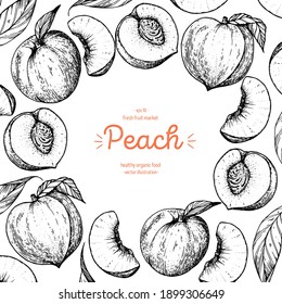 Peach fruit sketch frame, hand drawn vector illustration. Peach design template . Peach fruit hand drawing