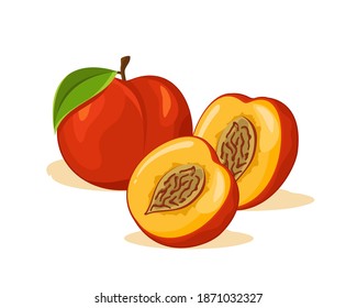 Peach fruit vector design, whole fruit and half