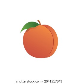  Vector de frutos de cáscara con hoja verde Aislado en png blanco