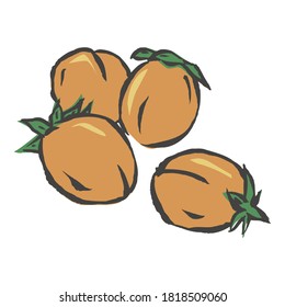 Diseño de ilustraciones de vectores de frutos de cáscara