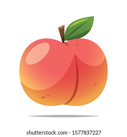 Peach fruit vector isolated illustration