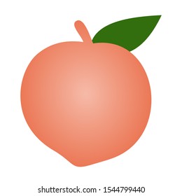 Peach Fruit Vector Isolated On White Background