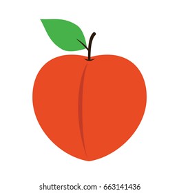 Peach Fruit Vector Stock Image