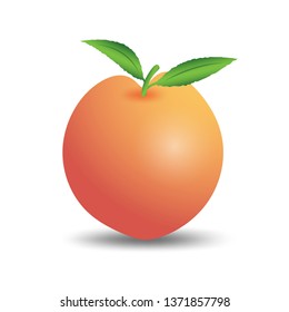 Peach fruit vector, web icon, sign, Design elements for business