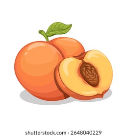 Vector de ilustración de dibujos animados de frutas de melocotón entero y rebanada