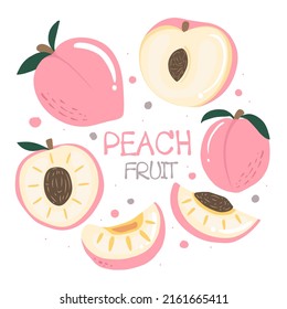 peach fruits collection isolated on white background. vector illustration.