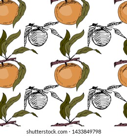 Peach fruits. Seamless pattern. Vector illustration.