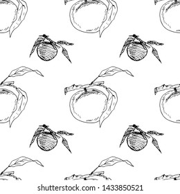 Peach fruits. Seamless pattern. Vector illustration.